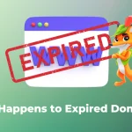 What-Happens-to-Expired-Domains