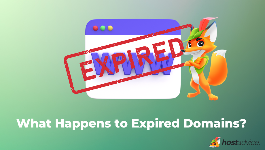 What-Happens-to-Expired-Domains