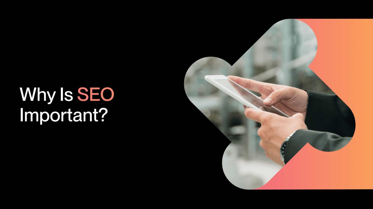 linux web hosting uk & nigeria 18 why do seo for your website?